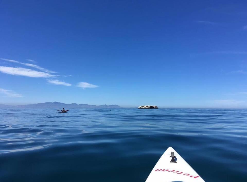 Eindelik Villa Simonʼs Town Dış mekan fotoğraf