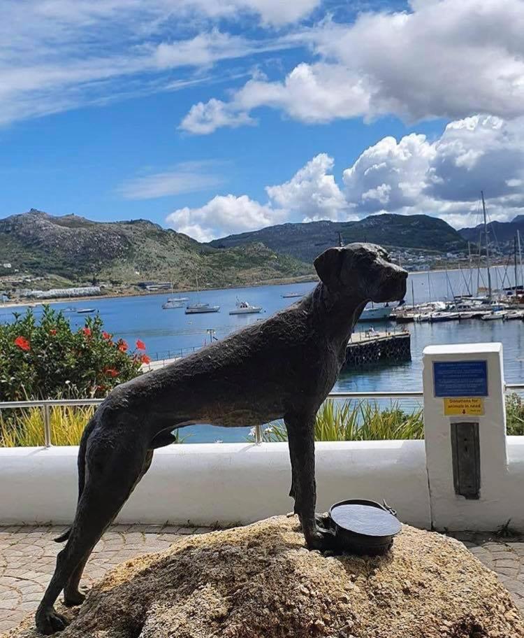 Eindelik Villa Simonʼs Town Dış mekan fotoğraf